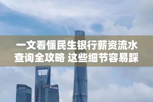 一文看懂民生银行薪资流水查询全攻略 这些细节容易踩雷