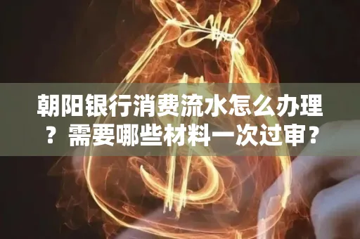 朝阳银行消费流水怎么办理?需要哪些材料一次过审?